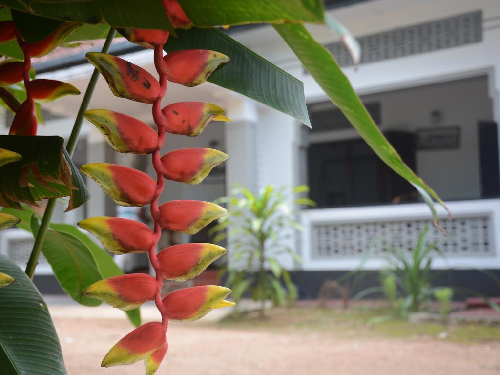 Galle Star Hotel Bagian luar foto